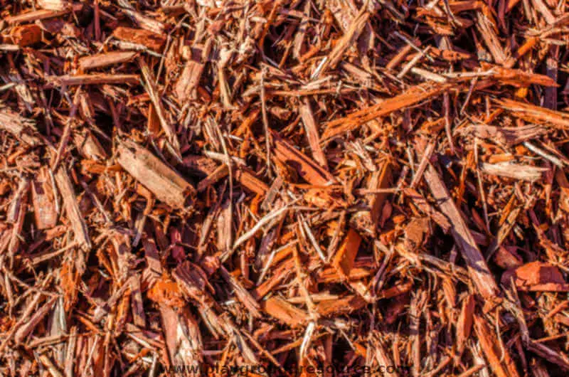 Is Cedar Mulch Good For Playgrounds, What Is The Best Wood Mulch For Playgrounds